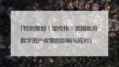 特别策划丨邹传伟：美国政府数字资产政策的影响与应对